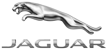 Jaguar Front Passenger Window Replacement