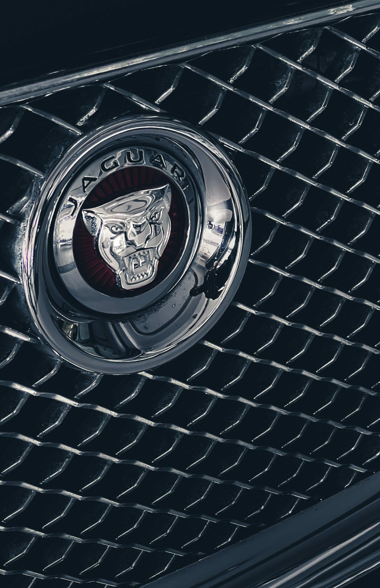 Silver Jaguar logo on front grill