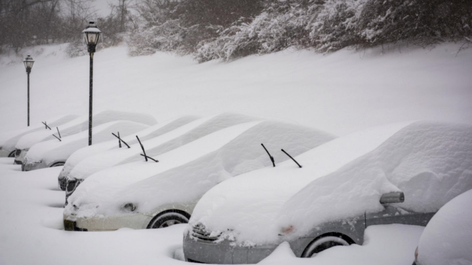 Cars on the parking lot completely covered with snow, blizzard outside, windshield wipers is lifted up on all cars